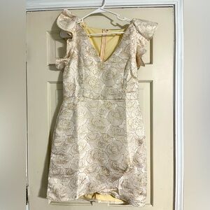 TCEC Boutique knee length dress. Beautiful rose design on a light cream fabric.